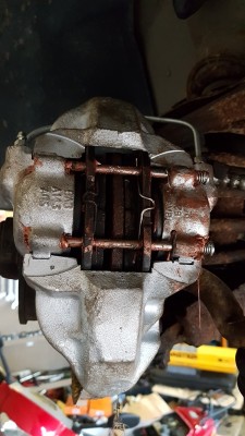 20180428_162105.jpg